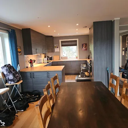 Lovehaugen Apartment Lii