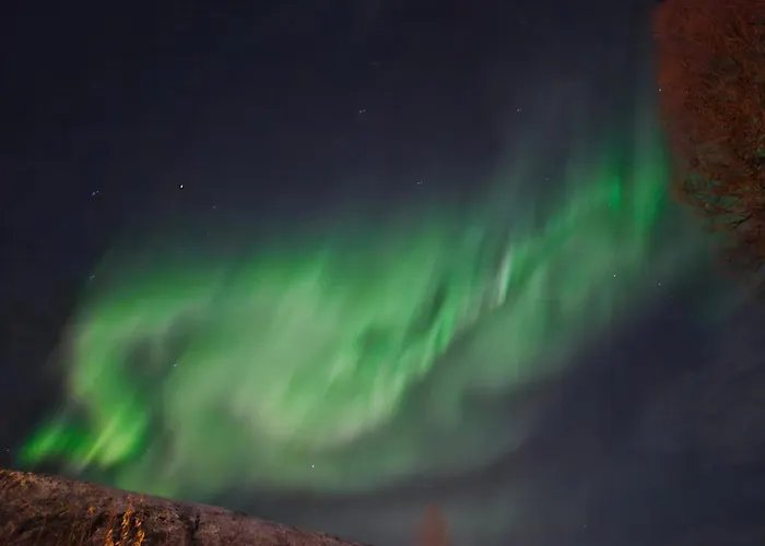 Lovehaugen 아파트